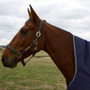 WeatherBeeta Comfitec Plus Dynamic High Neck Turnout Rug 220g in Navy