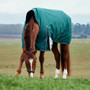 WeatherBeeta Comfitec Plus Dynamic High Neck Turnout Rug 220g in Forest Green