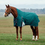 Forest Green WeatherBeeta Comfitec Plus Dynamic High Neck Turnout Rug 100g