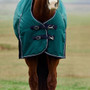 WeatherBeeta ComFiTec Plus Dynamic Standard Turnout Rug 220g In Forest Green - Front