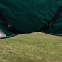 WeatherBeeta ComFiTec Plus Dynamic Standard Turnout Rug 0g In Forest Green - Surcingles