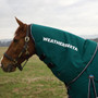 WeatherBeeta ComFiTec Plus Dynamic Turnout Standard Neck Cover 100g In Forest Green