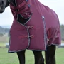 WeatherBeeta Comfitec Essential Combo Turnout Rug 360g In Burgundy