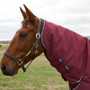 Burgundy WeatherBeeta ComFiTec Prelim Combo Turnout Rug 220g
