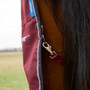 Detail to the WeatherBeeta ComFiTec Prelim Combo Turnout Rug 220g in burgundy