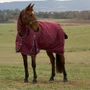 WeatherBeeta ComFiTec Prelim Combo Turnout Rug 220g In Burgundy