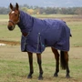 WeatherBeeta ComFiTec Prelim Combo Turnout Rug 220g In Navy