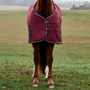WeatherBeeta Comfitec Prelim Standard Turnout Rug 0g In Burgundy - Front