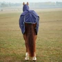 WeatherBeeta Comfitec Tyro Combo Turnout Rug 360g - Tail Flap