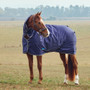WeatherBeeta Comfitec Tyro Combo Turnout Rug 50g In Navy