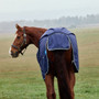 Back of the WeatherBeeta Comfitec Tyro Standard Turnout Rug 50g