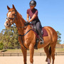 WeatherBeeta Prime Air-Tec Jump Shaped Saddle Padon horse In Burgundy