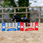 LeMieux Toy Pony Jump Set in Benetton/Chilli/White- Lifestyle