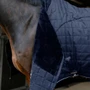 LeMieux Kudos Luxe Lined Stable Rug - Detail