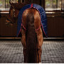 Back of the WeatherBeeta ComFiTec 210D Channel Quilt Stable Rug 100g
