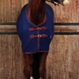 WeatherBeeta Cotton Sheet In Navy - Front