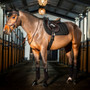 Horseware Amigo Close Contact Saddle Pad in Black