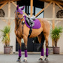 Horseware Amigo Close Contact Saddle Pad in Winterberry