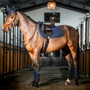 Horseware Amigo Close Contact Saddle Pad in Navy