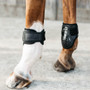Kentucky Horsewear Young Horse Air Fetlock Boots in Black - Lifestyle