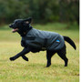 Charcoal WeatherBeeta ComFiTec Classic Waterproof Dog Coat 100g