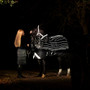 Horseware Amigo 1200D FieldSafe Reflectech Plus Turnout Rug 0g - Lifestyle
