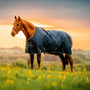 Horseware Amigo Ripstop 900D Pony Turnout Rug 0g - Witney Navy