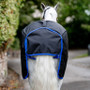 Horseware Amigo Ripstop 900D Pony Plus Turnout Rug 50g  - Tail