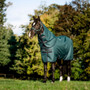 Horseware Amigo Ripstop 900D Pony Plus Turnout Rug 100g - Dynasty Green