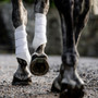 Horseware Classic Brushing Boots  - White Lifestyle