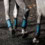 Horseware Classic Brushing Boots - Dynasty Green Lifestyle