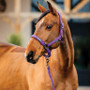 Horseware Amigo Headcollar & Leadrope Set - Winterberry