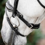 Horseware Diamante Flash Bridle - Noseband Fastening