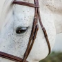 Horseware Pony Hunter Cavesson Bridle with Reins - Cheekpieces