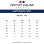 Premier Equine Ladies Savio Long Sleeve Riding Top Size Guide