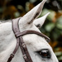Horseware Cavesson Bridle - Browband