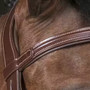 Norton Pro Vague Bridle - Browband