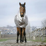 Front of the Riding World Sweet Itch Rug in Grey