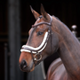 Velociti Rapida Fleece Lined Curved Flash Noseband