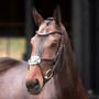 Velociti Lusso Elite Grackle Bridle in Havana