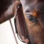 Velociti GARA Leather Blinkers