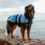 Equilibrium Quick Chill Dog Coat in Blue - Lifestyle