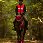 Woof Wear LED Hi-Vis Riding Vest - Pink