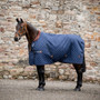 Horseware Signature Stable Rug 200g - Lifestyle