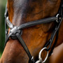 Horseware Figure 8 Grackle Bridle - Black Grackle Close Up
