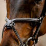 Horseware Figure 8 Grackle Bridle - Brown Grackle Close Up