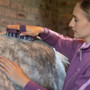 LeMieux Flexi Soft Body Brush in Powder Blue - Lifestyle