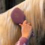 LeMieux Tangle Tidy in Mallow - Lifestyle 2