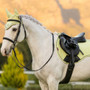 LeMieux Suede General Purpose Saddle Pad in Macaron - Lifestyle
