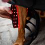 Horseware LED Red Light Therapy Pet Leg Wraps - Inside View